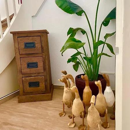 Guest house Gaestehaus Ambiente Am Kurpark 3*