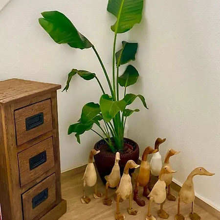 Gaestehaus Ambiente Am Kurpark Guest house Bad Sooden-Allendorf