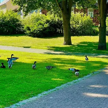 Gaestehaus Ambiente Am Kurpark * Bad Sooden-Allendorf