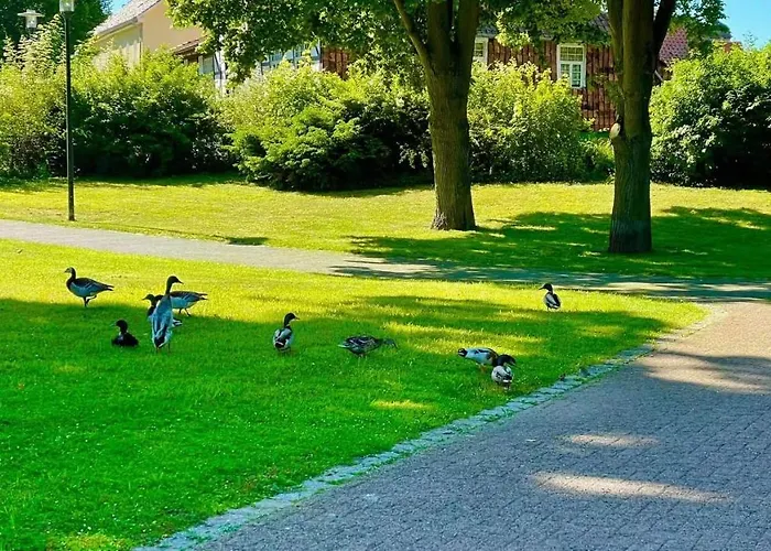 Gaestehaus Ambiente Am Kurpark 3* Bad Sooden-Allendorf